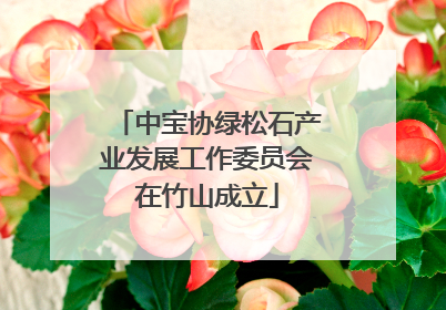 中宝协绿松石产业发展工作委员会在竹山成立