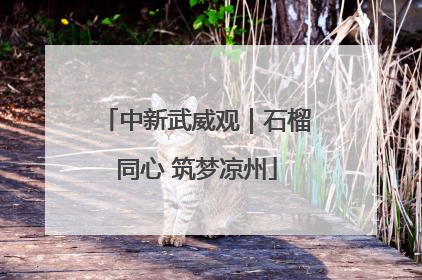 中新武威观｜石榴同心 筑梦凉州