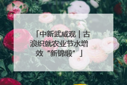 中新武威观｜古浪织就农业节水增效“新锦缎”