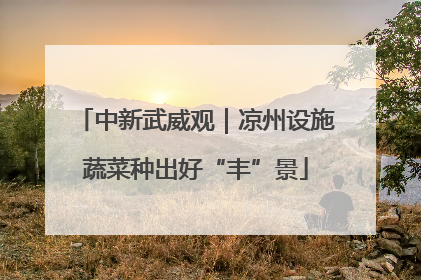 中新武威观｜凉州设施蔬菜种出好“丰”景