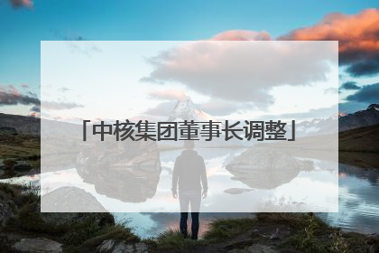 中核集团董事长调整