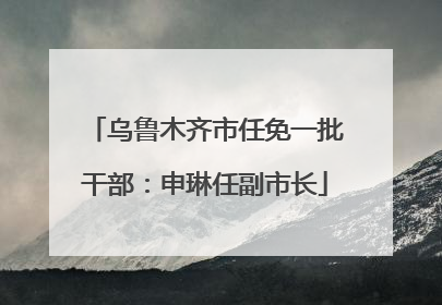 乌鲁木齐市任免一批干部：申琳任副市长