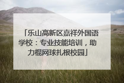 乐山高新区嘉祥外国语学校：专业技能培训，助力棍网球扎根校园