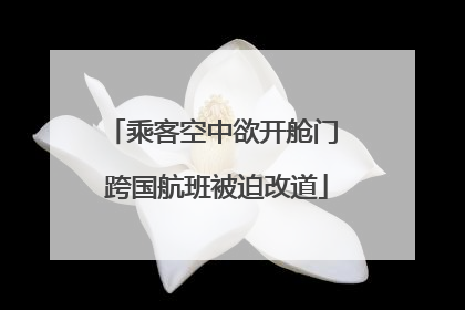 乘客空中欲开舱门 跨国航班被迫改道