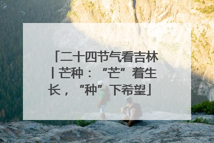 二十四节气看吉林丨芒种：“芒”着生长，“种”下希望