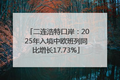 二连浩特口岸：2025年入境中欧班列同比增长17.73%
