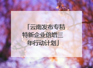 云南发布专精特新企业倍增三年行动计划