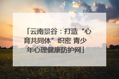 云南景谷：打造“心育共同体”织密 青少年心理健康防护网