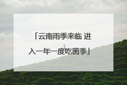 云南雨季来临 进入一年一度吃菌季