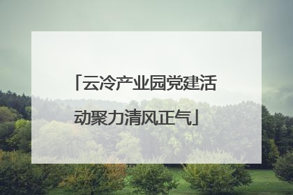 云冷产业园党建活动聚力清风正气