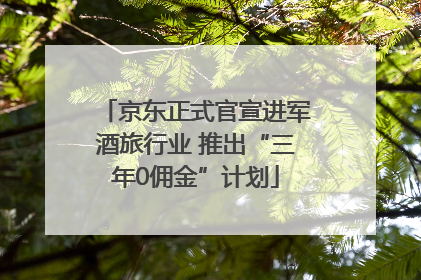 京东正式官宣进军酒旅行业 推出“三年0佣金”计划