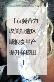 京冀合力攻关打造区域粮食单产提升样板田