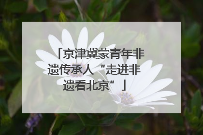 京津冀蒙青年非遗传承人“走进非遗看北京”