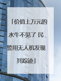价值上万元的水牛不见了 民警用无人机发现其踪迹