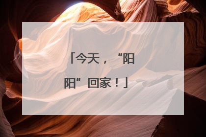 今天，“阳阳”回家！