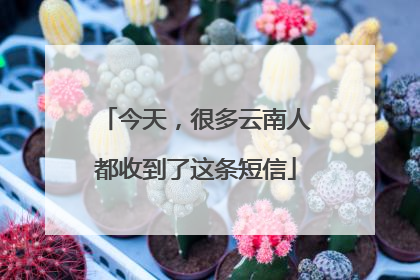 今天，很多云南人都收到了这条短信