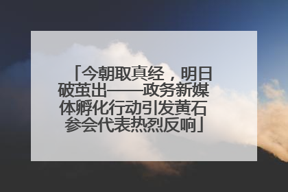 今朝取真经，明日破茧出——政务新媒体孵化行动引发黄石参会代表热烈反响