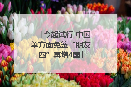 今起试行 中国单方面免签“朋友圈”再增4国