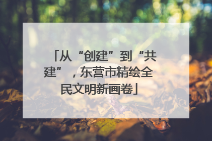 从“创建”到“共建”，东营市精绘全民文明新画卷
