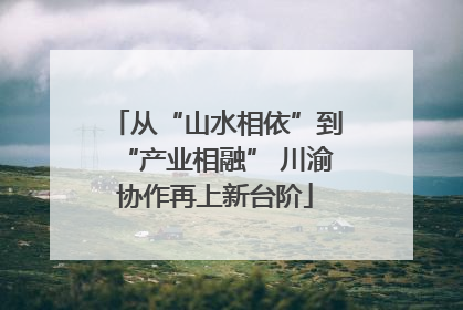 从“山水相依”到“产业相融” 川渝协作再上新台阶