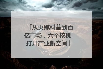 从央媒科普到百亿市场，六个核桃打开产业新空间