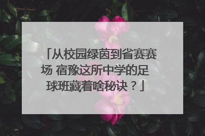 从校园绿茵到省赛赛场 宿豫这所中学的足球班藏着啥秘诀？