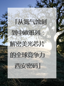 从氮气蚀刻到中欧班列：解密美光芯片的全球竞争力西安密码