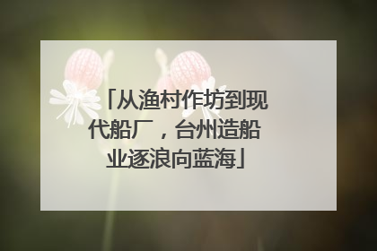 从渔村作坊到现代船厂，台州造船业逐浪向蓝海