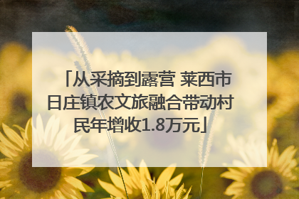 从采摘到露营 莱西市日庄镇农文旅融合带动村民年增收1.8万元