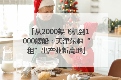 从2000架飞机到1000艘船：天津东疆“租”出产业新高地