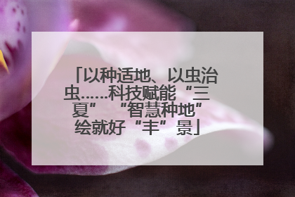 以种适地、以虫治虫……科技赋能“三夏” “智慧种地”绘就好“丰”景