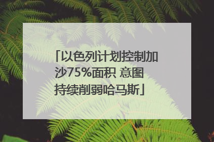 以色列计划控制加沙75%面积 意图持续削弱哈马斯