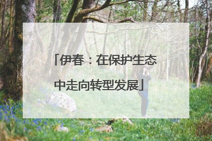 伊春：在保护生态中走向转型发展