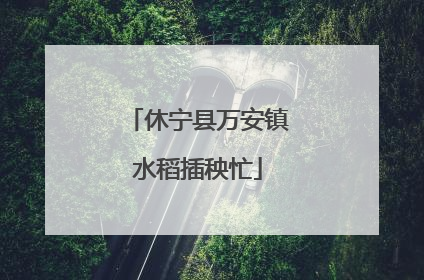 休宁县万安镇水稻插秧忙
