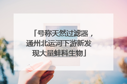 号称天然过滤器，通州北运河下游新发现大量蚌科生物