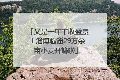 又是一年丰收盛景！淄博临淄29万余亩小麦开镰啦
