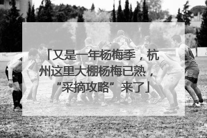 又是一年杨梅季，杭州这里大棚杨梅已熟，“采摘攻略”来了