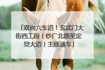 双向六车道！玄武门大街西工段（纱厂北路至定鼎大道）主线通车