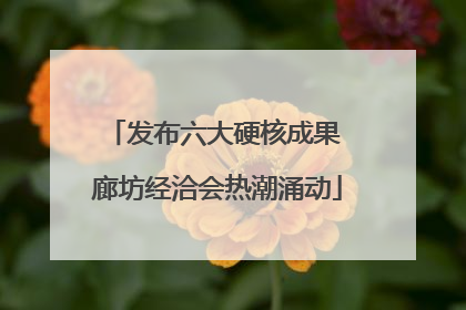 发布六大硬核成果 廊坊经洽会热潮涌动
