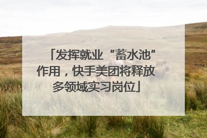 发挥就业“蓄水池”作用，快手美团将释放多领域实习岗位