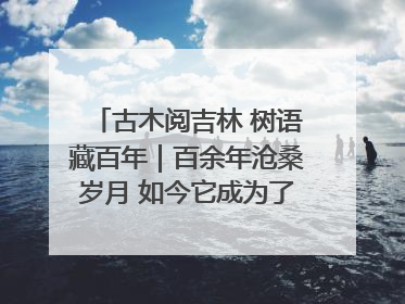 古木阅吉林 树语藏百年｜百余年沧桑岁月 如今它成为了“镇园之宝”