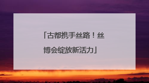 古都携手丝路！丝博会绽放新活力