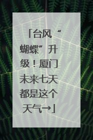 台风“蝴蝶”升级！厦门未来七天都是这个天气→