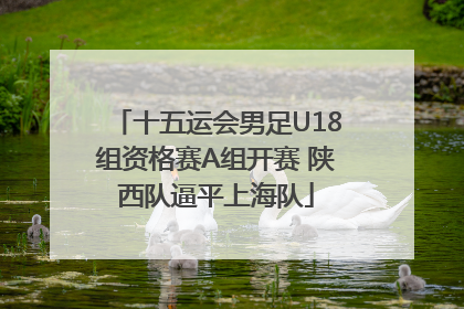 十五运会男足U18组资格赛A组开赛 陕西队逼平上海队
