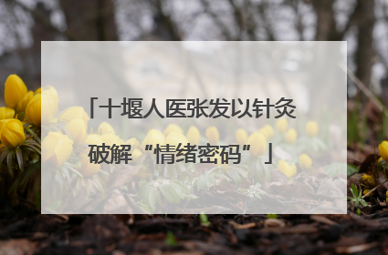 十堰人医张发以针灸破解“情绪密码”