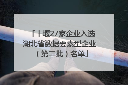 十堰27家企业入选湖北省数据要素型企业（第二批）名单