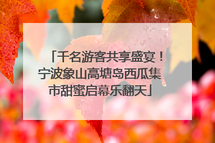 千名游客共享盛宴！宁波象山高塘岛西瓜集市甜蜜启幕乐翻天
