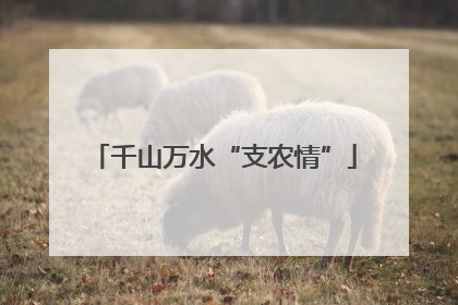 千山万水“支农情”