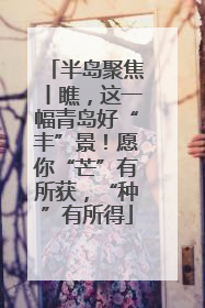 半岛聚焦丨瞧，这一幅青岛好“丰”景！愿你“芒”有所获，“种”有所得