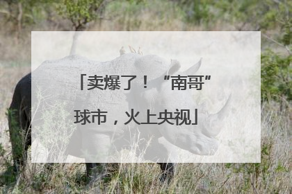 卖爆了！“南哥”球市，火上央视